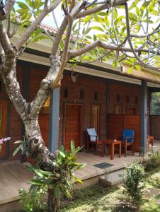 Tunjung guest house lovina beach