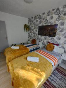 Appartement le Trésor damour