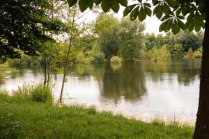 Sleep Space 3 - Green Tiny Spot Südpfalz