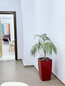 AEM 2 Bedroom Apartment Apt #3