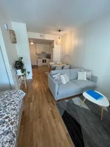 SiilinPiha central apartament Siilinjärvi - Rissala