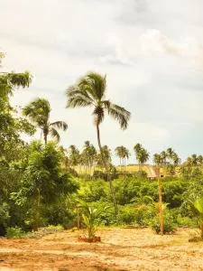 Casa Circular - 维索萨-杜塞阿拉