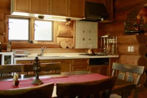 Nasu handmade log house - Vacation STAY 16930