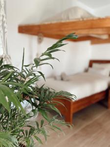 Surf & Yoga Retreats Fuerteventura