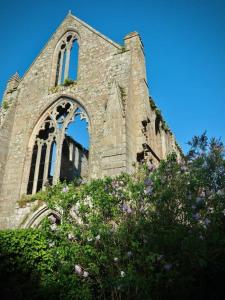Maisons de vacances Ti Ar Familhou classee 3 etoiles : photos des chambres