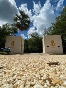 Casa Driada - Leona Vicario