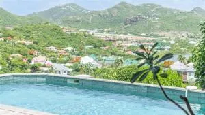 Asian inspired villa in a lush vegetation - Saint-Jean