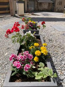 Appartements Studio Canellito Le Clos Des Ours : photos des chambres