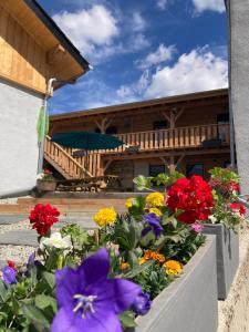 Appartements Studio Canellito Le Clos Des Ours : photos des chambres