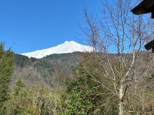 Hostal Quintuman camino a Huilo Huilo