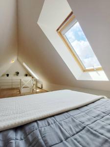 Grand Luxury Apartment In The Center Of Hjoerring