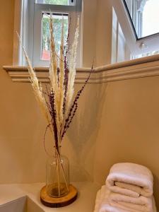 Cozy studio flat in London, hackney