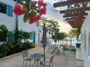 Zensus Laguna - Gato