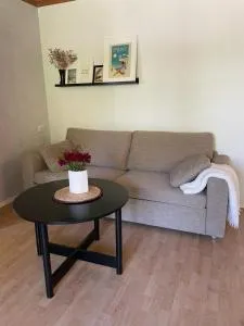 Place near to city and beach - Tammiste