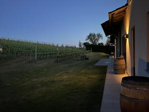 Vigne dei Mastri