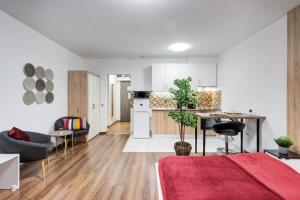 Homey new studio great central area