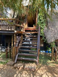 Sweet Melody Tree House