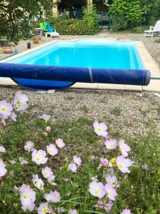 Appartements Chambre studio cuisine independant 2 pers piscine proche Thermes des Fumades : photos des chambres