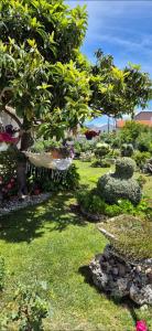 Apartmani Pina 1