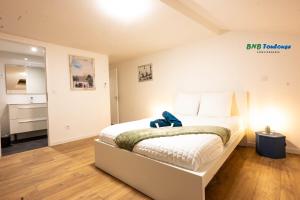 Appartements BNB TOULOUSE - Le Gaston douillet - Clim - WiFi - Plein centre : photos des chambres