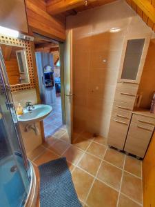 Holiday home in Dolenjske Toplice - Kranjska (Krain) 51092