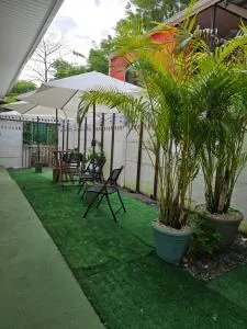 Monkey House - Jaloba