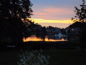 Saule
