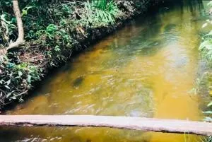 Recanto três poderes - 卡罗莱纳