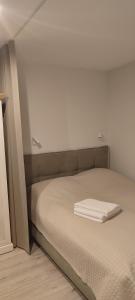 Cozy Kaunas apartment