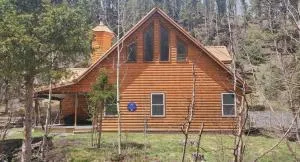 Creekside Cabin - Pet Friendly - WiFi - Washer - Dryer - Grill - Fenced Yard - Fireplace - 陶斯滑雪谷