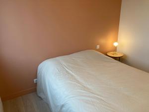 Appartements Appartement T3 classe 3 etoiles : photos des chambres