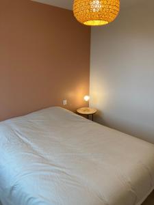 Appartements Appartement T3 classe 3 etoiles : photos des chambres