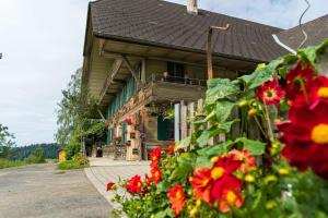 Ferienwohnung auf Bauernhof mit Hotpot und Sauna