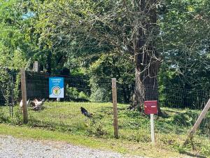 B&B / Chambres d'hotes Ferme du Peyronin : photos des chambres
