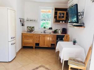 Apartment 1 in Casa Viter 