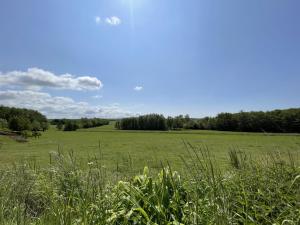 Fewo Sonnengelb - Fulgenhaus