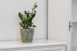 Apartamenty MUNN 12 Szczecin 100m2