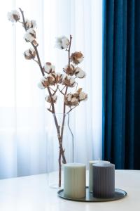 Apartamenty MUNN 12 Szczecin 100m2