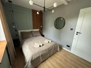 Dach Pod Sową Apartament GS - Krajanow