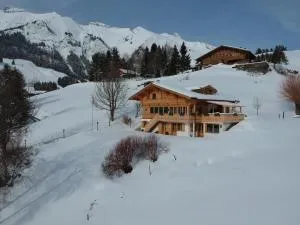 Luxury Chalet with Spa and stunning views - Siernes Picats