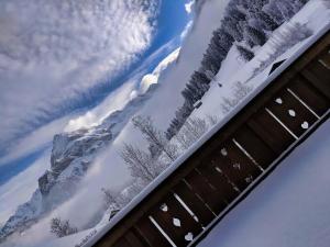 Cozy Scenic Family Chalet Gstaad Glacier 3000