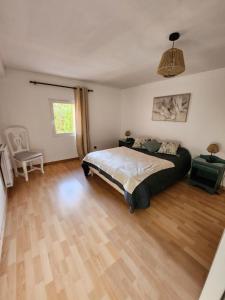 DOMAINE DE POULHARIES -Merlot