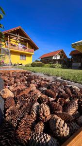 Casa Ferenczi Vendégház