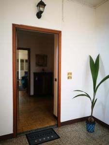 Appartamento Ortensia - Meina