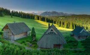 Szymkówka - بوكافينا تترايسكا