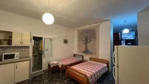 Lida Guest House - Qendra