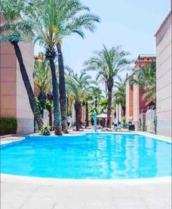 Riad butterfly Marrakech