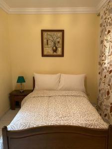 Riad butterfly Marrakech