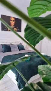 Apartament Ariana Rasnov - 克里斯蒂安