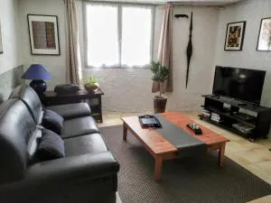 Appartement 55 m2 proche commerces et parking - 萨勒斯勒沙托